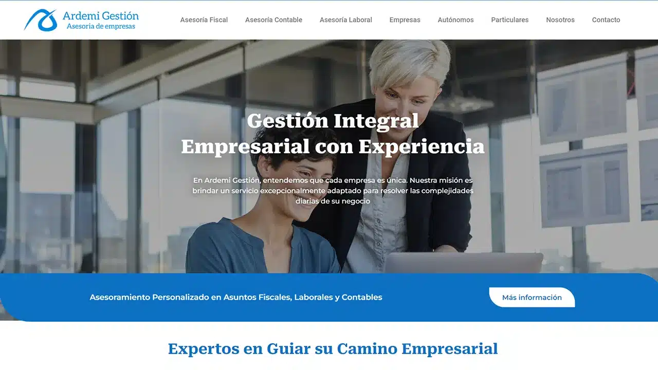Captura del sitio web de Ardemi, desarrollado por Fernando Penfold