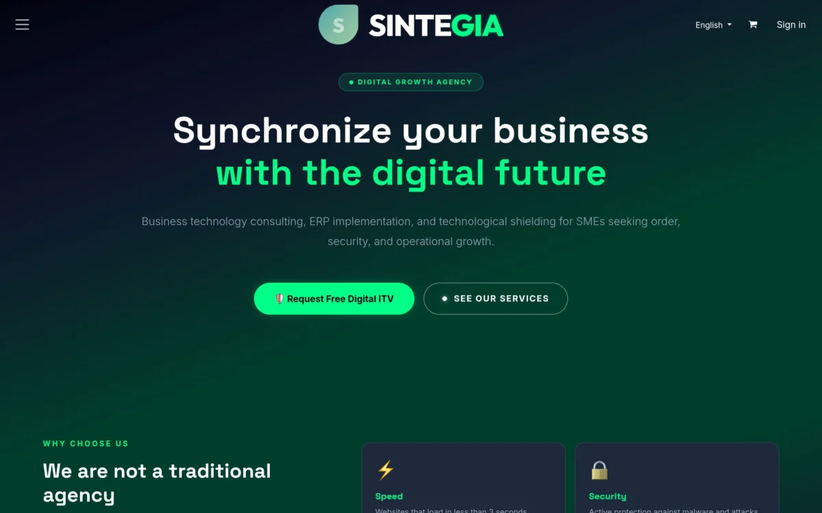 Web de Sintegia